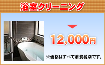 浴室クリーニング12,000円